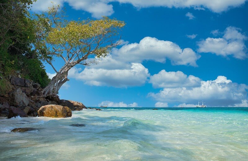 5 Best Weather Apps for Android